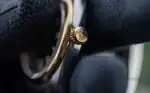 Rolex Oyster Perpetual 41 134303 Price in Australia | $23k thumbnail 11