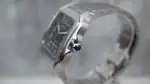 Cartier Santos (2024) - Ref. WSSA0071 | Watch Scout thumbnail 5