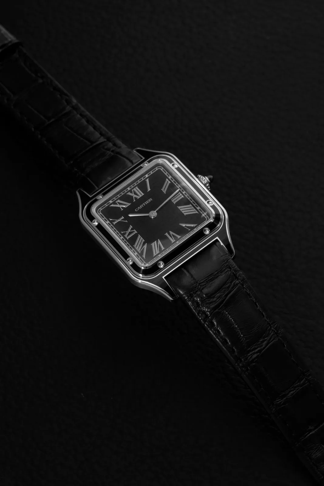 Cartier Santos Dumont WSSA0046 Price in Australia | $12k - image 2