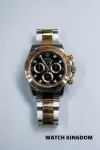 Rolex Daytona (2021) - Ref. 116503 | Watch Scout thumbnail 1