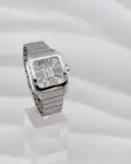 Cartier Santos (2024) - Ref. WHSA0028 | Watch Scout thumbnail 1