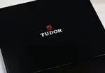 Tudor Pelagos (2023) - Ref. 25707B / 23 | Watch Scout thumbnail 6