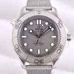 Omega Seamaster Diver 300M (2026) - Ref. 210.30.42.20.06.002 | Watch Scout thumbnail 1