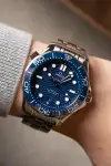 Omega Seamaster Diver 300M 210.30.42.20.03.001 Price in Australia | $6.8k thumbnail 14