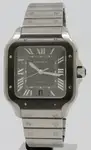 Cartier Santos (2026) - Ref. WSSA0037 | Watch Scout thumbnail 1