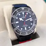 Tudor Pelagos (2025) - Ref. 25707KN | Watch Scout thumbnail 4