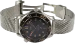 Omega Seamaster (2020) - Ref. 210.90.42.20.01.001 / 210.92.42.20.01.001 | Watch Scout thumbnail 3