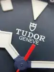 Tudor Pelagos (2025) - Ref. 25707KN | Watch Scout thumbnail 5