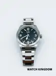 Tudor Ranger (2022) - Ref. 79950 | Watch Scout thumbnail 1