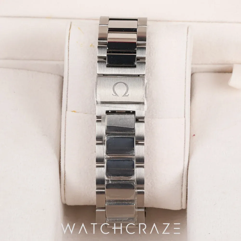 Omega Seamaster Aqua Terra 23113422103001, photo 9 of 9