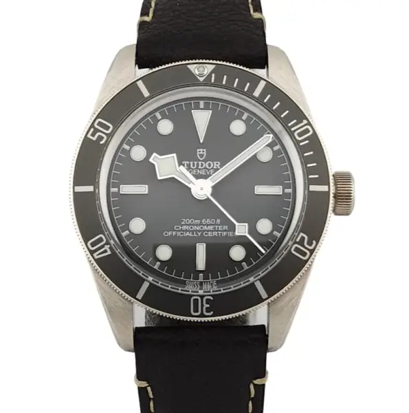 Tudor Black Bay