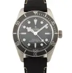 Tudor Black Bay (2022) - Ref. 79010SG | Watch Scout thumbnail 1