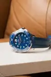 Omega Seamaster Diver 300M (2022) - Ref. 210.32.42.20.03.001 | Watch Scout thumbnail 1