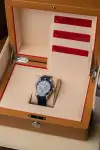 Omega Seamaster Diver 300M (2022) - Ref. 210.32.42.20.03.001 | Watch Scout thumbnail 17