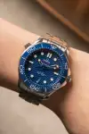 Omega Seamaster Diver 300M (2024) - Ref. 210.30.42.20.03.001 | Watch Scout thumbnail 12