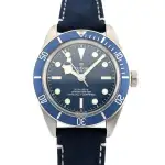 Tudor Black Bay (2021) - Ref. M79030B-0002 | Watch Scout thumbnail 1