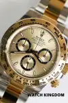 Rolex Daytona (2026) - Ref. 126503 | Watch Scout thumbnail 3