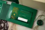 Rolex Daytona (2025) - Ref. 126519LN | Watch Scout thumbnail 17