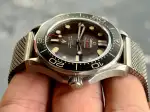 Omega Seamaster (2023) - Ref. 210.90.42.20.01.001 | Watch Scout thumbnail 5