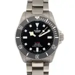 Tudor Pelagos (2023) - Ref. 25407N | Watch Scout thumbnail 1