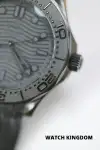 Omega Seamaster 300 (2024) - Ref. 21092442001003 | Watch Scout thumbnail 3