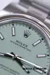 Rolex Oyster Perpetual (2026) - Ref. 134300 | Watch Scout thumbnail 2