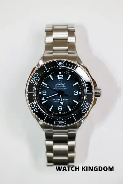 Omega Seamaster Planet Ocean