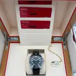 Omega Seamaster (2021) - Ref. 210.32.42.20.01.001 | Watch Scout thumbnail 3