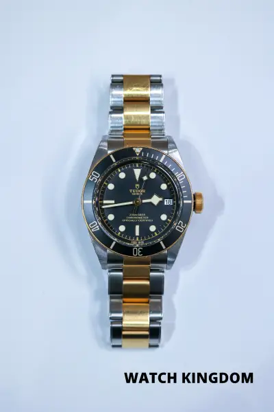 Tudor Black Bay