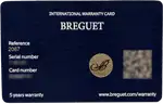 Breguet Type XX Chronographe 2067 (2026) - Ref. 2067ST/92/3WU | Watch Scout thumbnail 8
