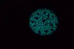 Chanel J12 Cosmic (Recent) - Ref. H7990 | Watch Scout thumbnail 11