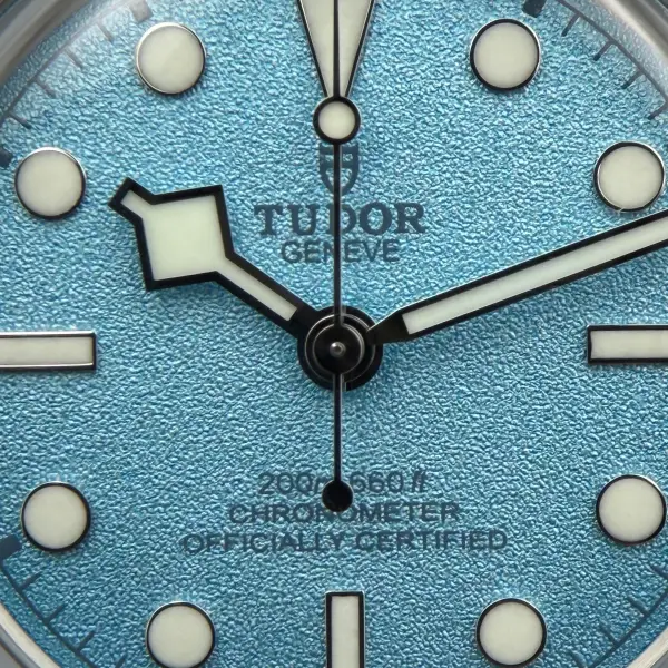 Tudor Black Bay