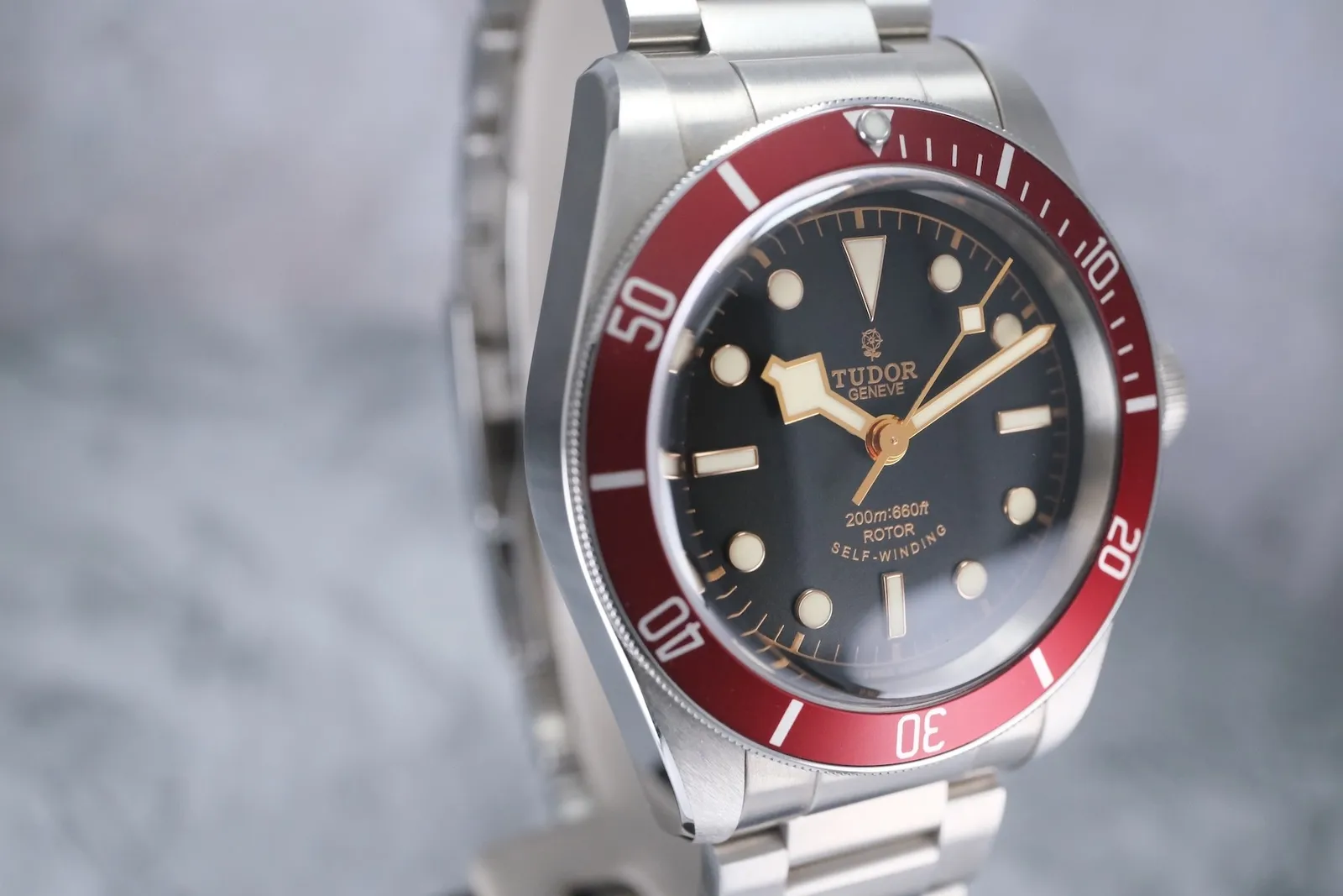 Tudor Black Bay 41 Smiley 79220R Price in Australia | $5k - image 2