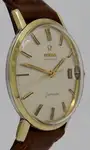 Omega Seamaster Date 166.020 Price in Australia | $2.5k thumbnail 3
