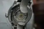 Meistersinger Dragon (2020s) | Watch Scout thumbnail 7