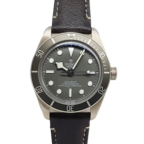 Tudor Black Bay