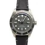 Tudor Black Bay (2022) - Ref. 79010SG | Watch Scout thumbnail 1