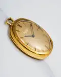 Patek Philippe Gilbert Albert Pocket Watch | Watch Scout thumbnail 8