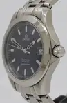 Omega Seamaster 120m 2501.81.00 Price in Australia | $2k thumbnail 2