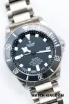 Tudor Pelagos (2026) - Ref. 25600TN | Watch Scout thumbnail 2