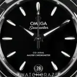 Omega Seamaster (2025) - Ref. 220.10.30.20.01.001 | Watch Scout thumbnail 2