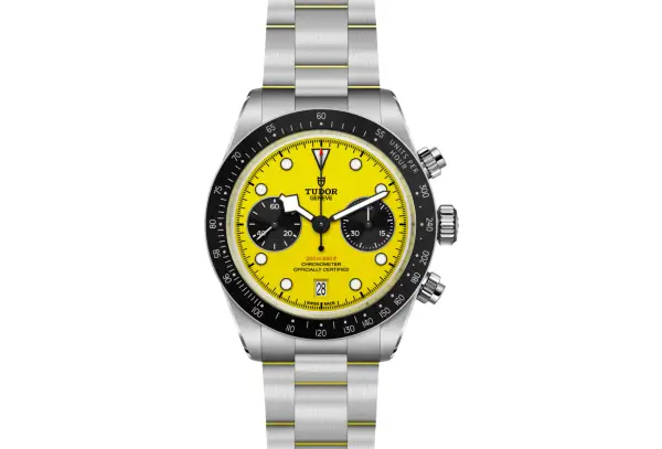 Tudor Black Bay