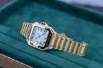 Cartier Santos (2025) - Ref. WGSA0029 | Watch Scout thumbnail 19
