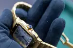 Cartier Santos (2025) - Ref. WGSA0029 | Watch Scout thumbnail 5