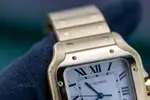 Cartier Santos (2025) - Ref. WGSA0029 | Watch Scout thumbnail 10
