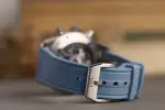 IWC Pilot (2025) - Ref. IW388117 | Watch Scout thumbnail 10