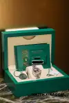 Rolex Lady-Datejust (2022) - Ref. 279384RBR | Watch Scout thumbnail 7