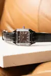 Cartier Santos (2026) - Ref. WSSA0046 | Watch Scout thumbnail 1