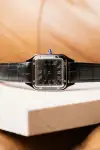 Cartier Santos (2026) - Ref. WSSA0046 | Watch Scout thumbnail 4