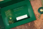 Rolex Land-Dweller 40 (2026) - Ref. 127334 | Watch Scout thumbnail 16